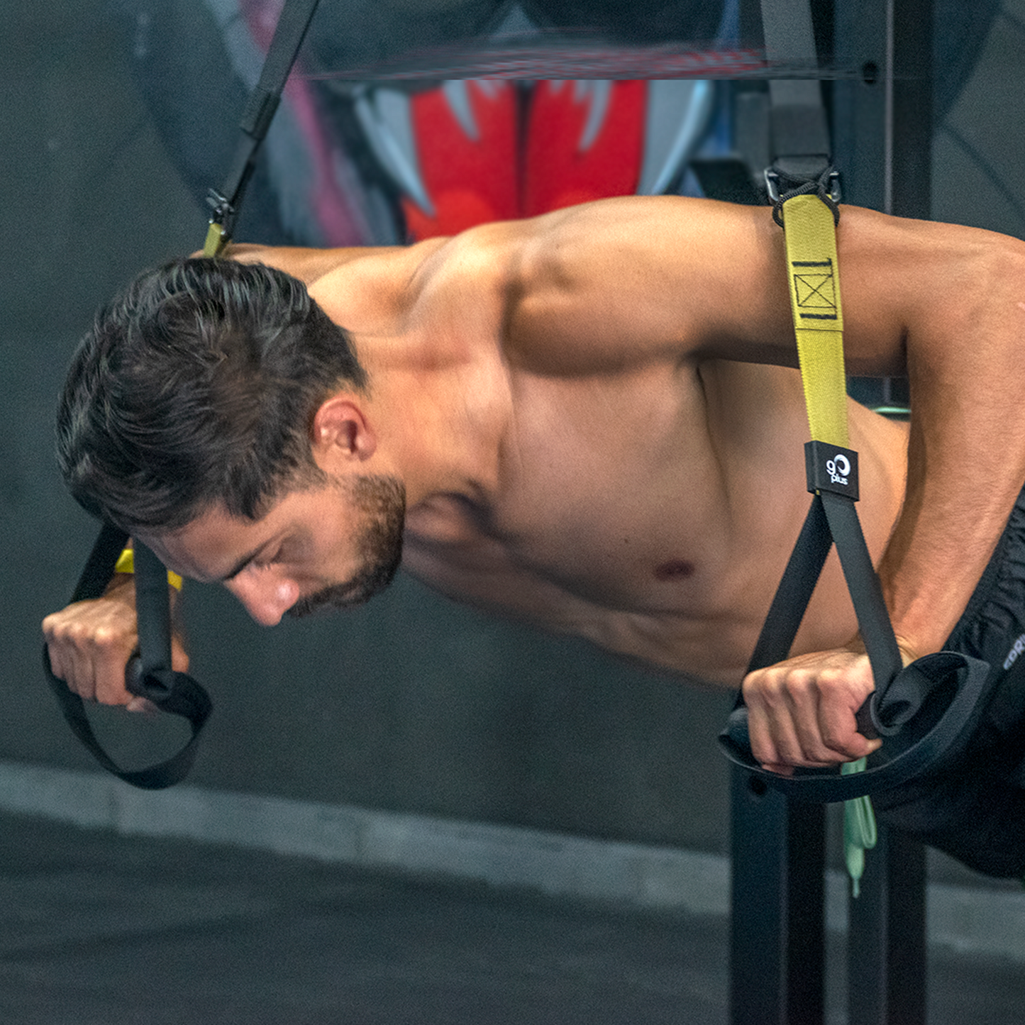 Suspension Trainer Bandas de Suspension Entrenamiento Funcional Go Plus