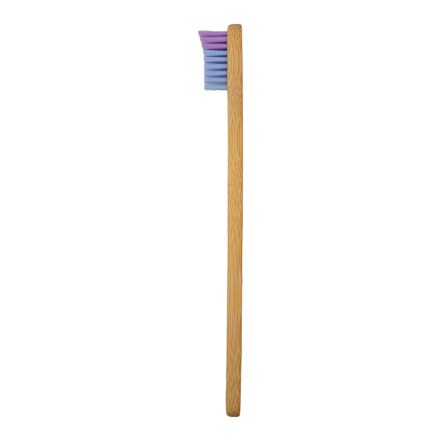 Cepillo Dental Para Niños Kid's 2 Pzas Bam Boo! Lifestyle